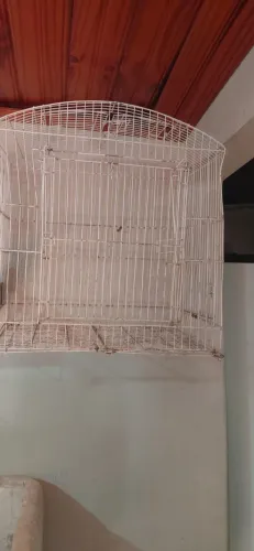 Gaiola para Pássaros