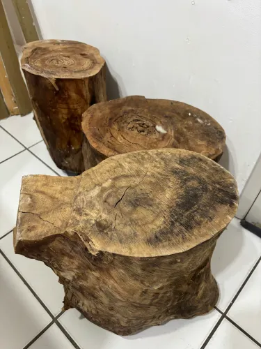 Tronco (para fazer banco ou mesa)