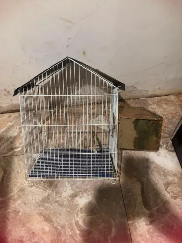 Gaiolas para passarinho