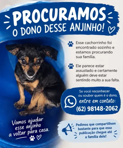 Cachorro encontrado Cidade Satélite São Luiz