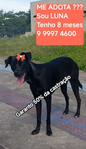 PRETA LINDA 