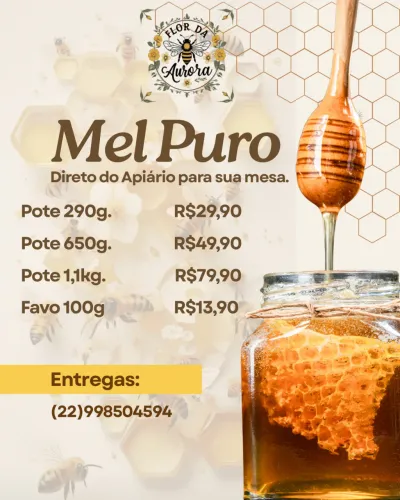 Mel Puro de Abelhas APIS Silvestre 