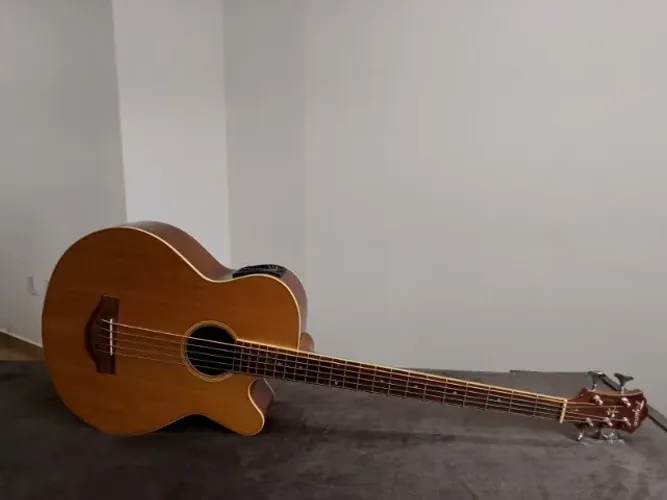 Contra Baixo Acústico + Capa