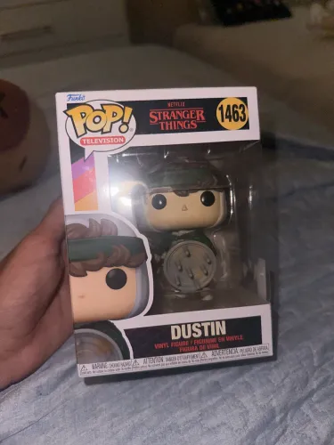 Funko pop dustin 1463