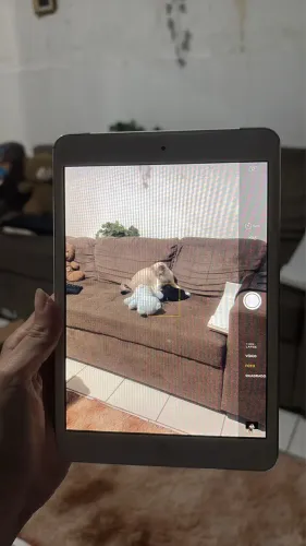 mini ipad