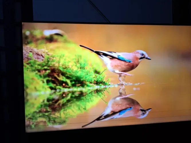 Televisão Samsung 4k UHD 50' pol