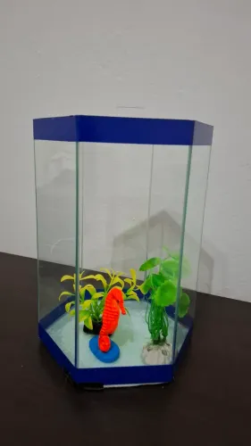 Aquário para peixe sextavado. Com 3 enfeites 