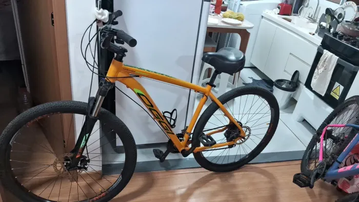 Bicicleta oggi