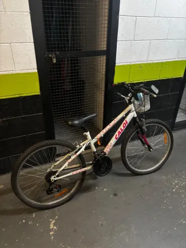 Bicicleta Ceci