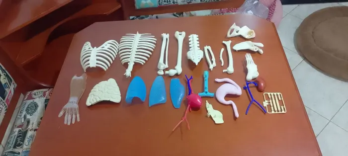 Coleção o corpo humano revista abril