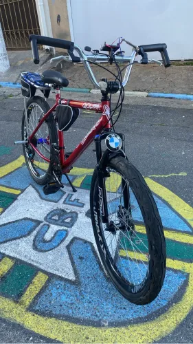 Bike SaBorrrr raio aro 26