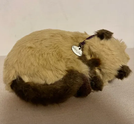 Gato Filhote Pelúcia Perfect Petzzz Gatinho Siamês