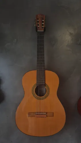 Violão Di Giorgio n°38 (2016) - Impecável