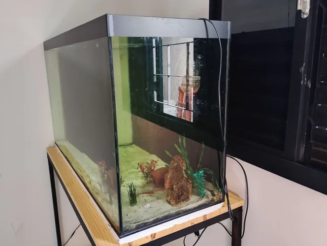 Aquário 200 litros