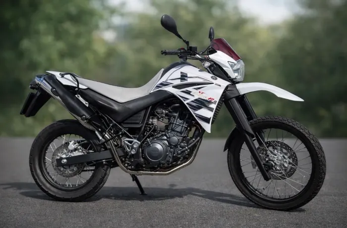 XT 660r Branca 2013