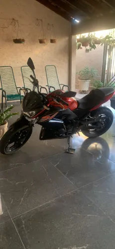 Z300