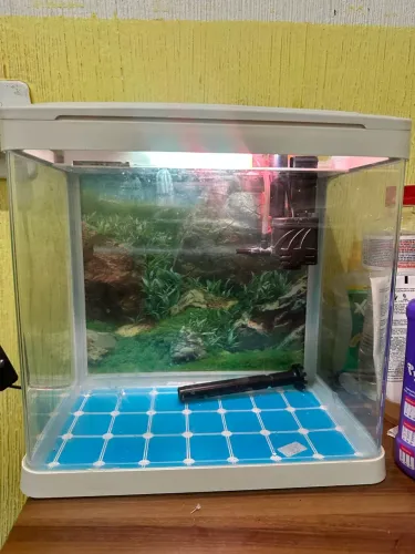 AQUÁRIO COMPLETO ILUMINAÇÃO E BOMBA 480$ PRATICAMENTE NOVO