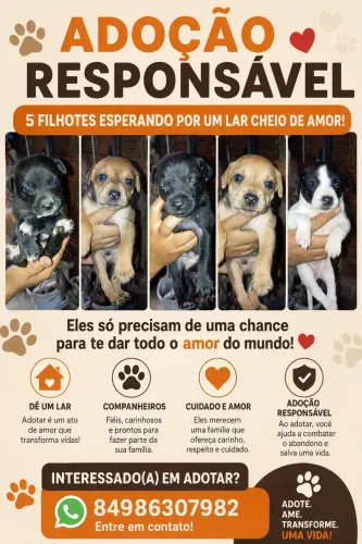 ADOÇÃO RESPONSÁVEL