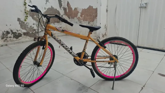 Bicicleta aro 24
