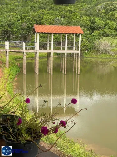 Fazenda à Venda em Fazenda Nova GO  22 Alqueires Escriturada