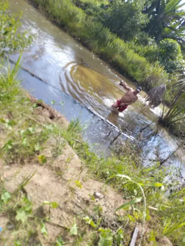 Vendo ou troco está chácara na transacreana no km 36 por 110 mil