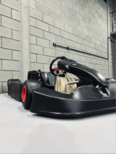 Kart 2T profissional 