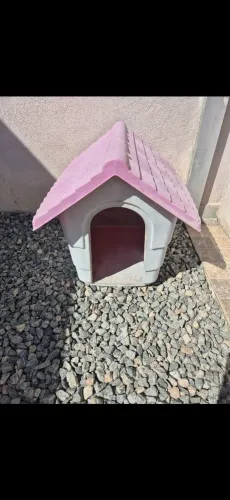 Casinha de cachorro 