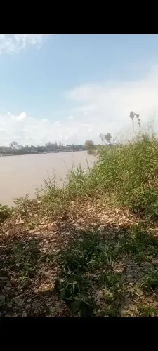 Boa
