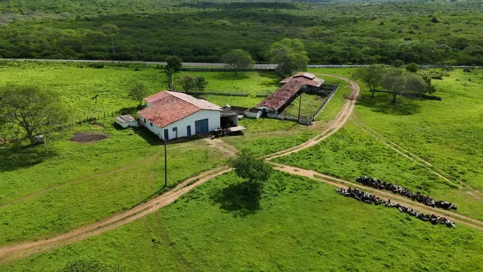 fazenda com 437 hectares na melhor região de sao paulo do potengi excelente localização