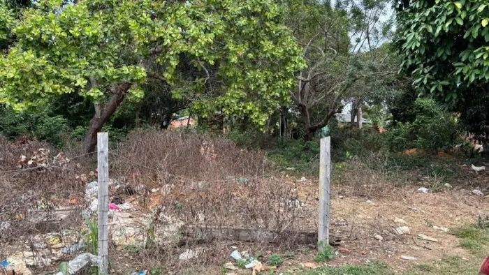 TERRENO
