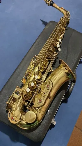 Sax alto shelter 