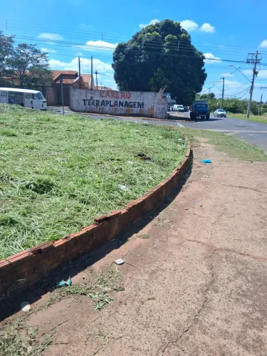 Limpeza de terrenos quintal
