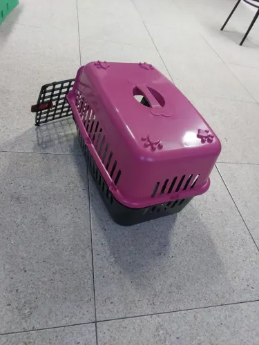 Caixinha de transporte