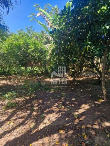 Terreno à venda, 390 m² por R$ 170.000,00 - Jacaroá - Maricá/RJ