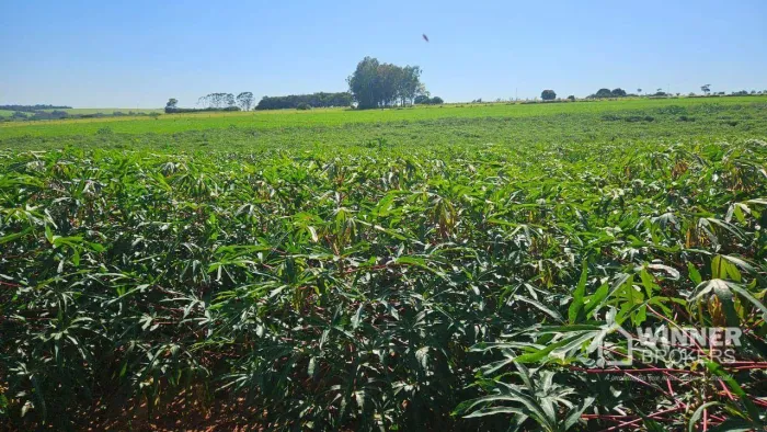 Sítio com 1 dormitório à venda, 199650 m² por R$ 2.450.000,00 - Rural - Flórida/PR