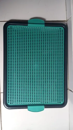 Chega de xixi de cachorro na casa