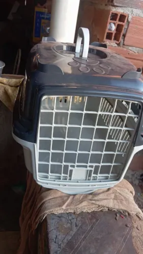 casinha de cachorro nova