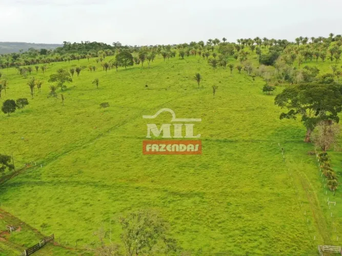 Fazenda 300 Alqueires (1.452 Hectares) Corumbá de Goiás - GO