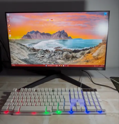 PC + Monitor