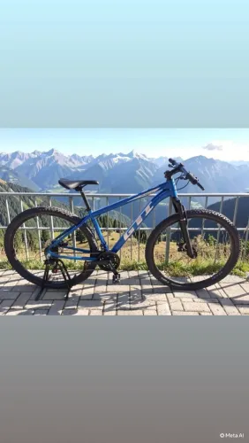 Bicicleta aro 29