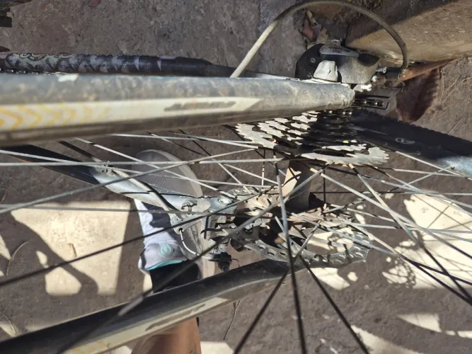 Bicicleta aro29