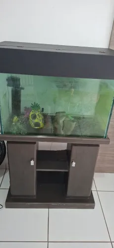Vendo esse aquário completo, capacidade de 80L.