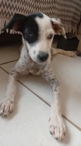 Doação