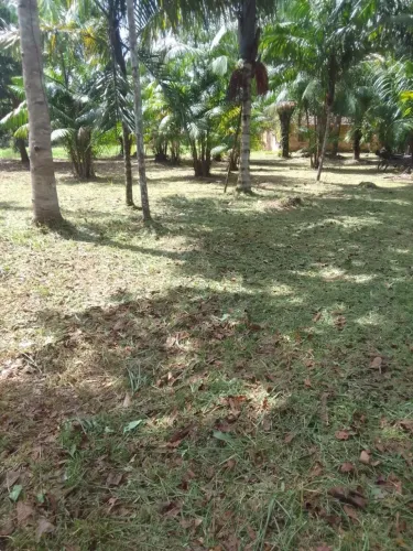 Terreno no curuçamba, ananideua-PA