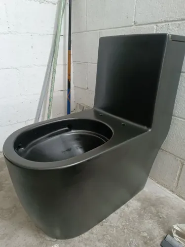 Vaso sanitário