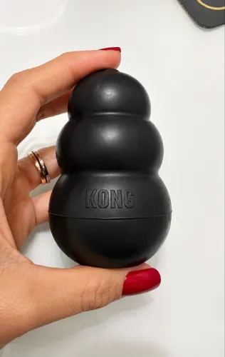 Kong brinquedo para pet