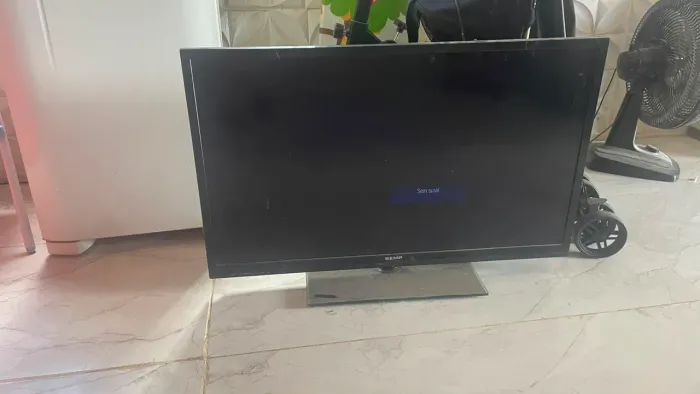 Televisão