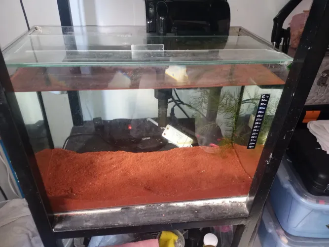 Aquário com Filtro - 43 Litros<br><br> 