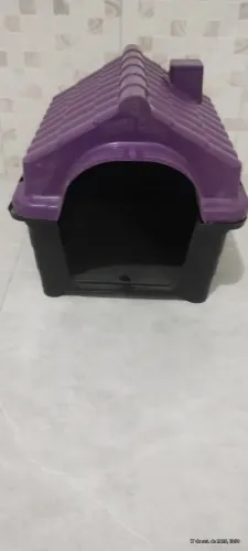 Casinha cachorro