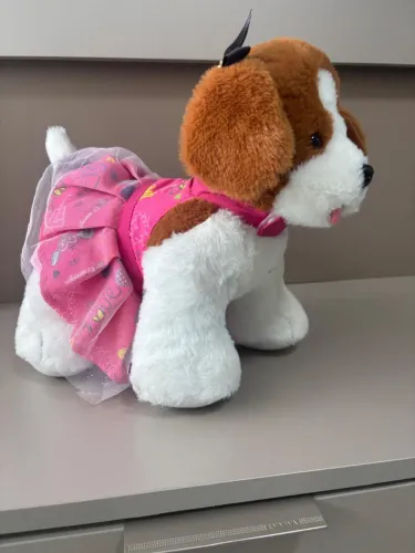 Cria Amigos Cachorro com Roupa
